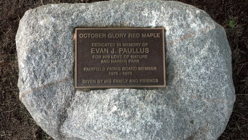 Acer rubrum EvanPaullusFairfieldMemorialPlaque.jpg