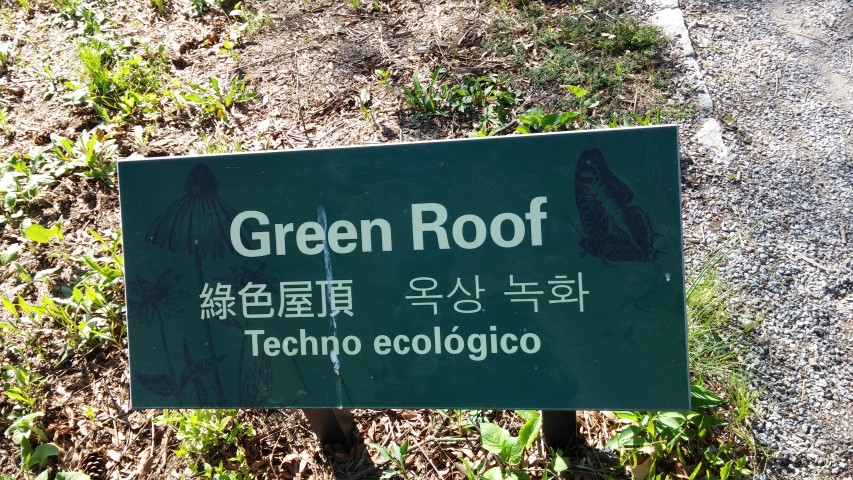green roof plantplacesimage20150502_160433.jpg