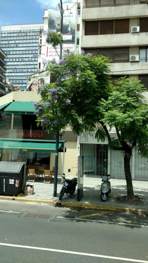 plantplacesimage20151231_134735.jpg