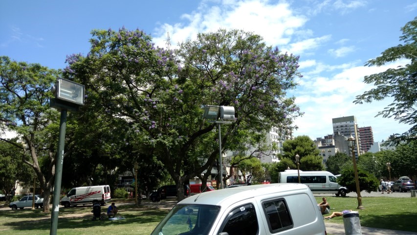 plantplacesimage20151231_141626.jpg