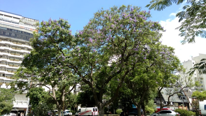 plantplacesimage20151231_141700.jpg