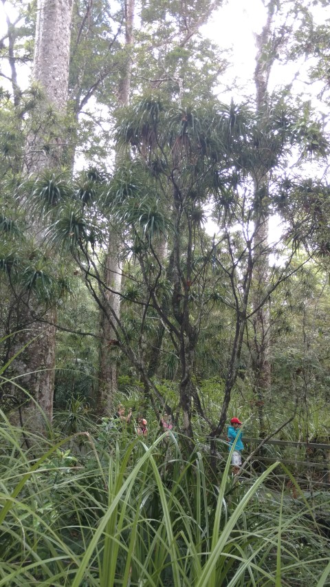 plantplacesimage20161219_115736.jpg