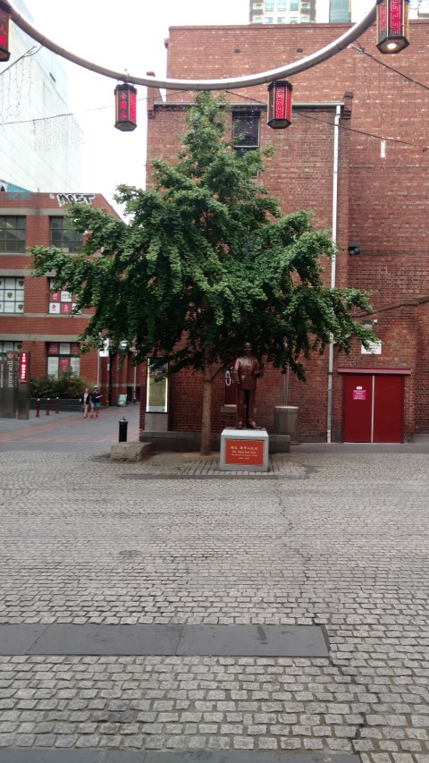 Ginkgo biloba plantplacesimage20161226_202041.jpg