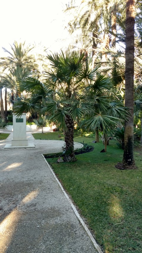 Picture of