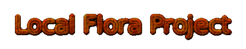Local Flora Project Logo