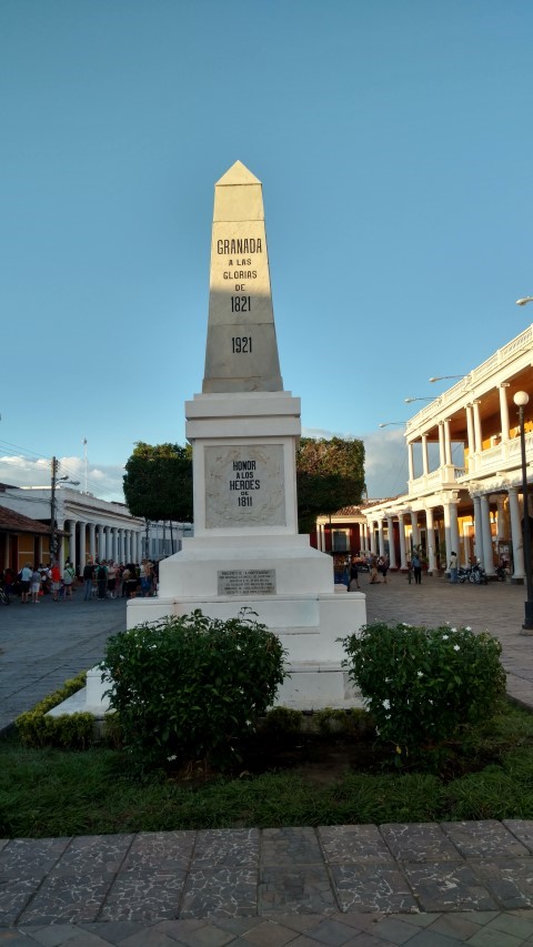 Tabernaemontana divaricata plantplacesimage20151210_164410.jpg