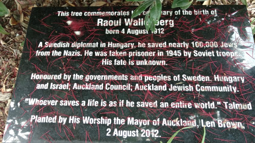 Metrosideros excelsa plantplacesimage20161218_135024.jpg