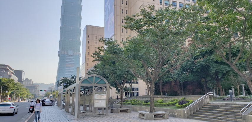 Pterocarpus indices plantplacesimage20181203_145553.jpg