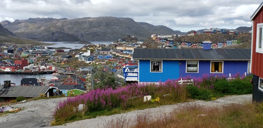 Chamerion angustifolium plantplacesimage20190828_113915.jpg